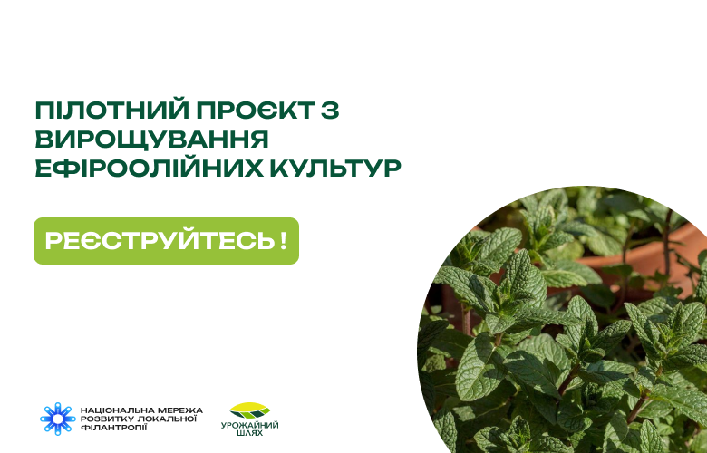 Долучайтесь до пілотного проєкту з вирощування ефіроолійних культур